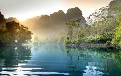 高精度电子高精度